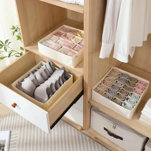 Premium Undergarment Organizer set